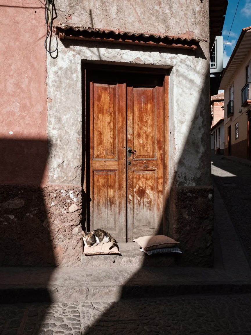 Cat in La Paz in in La Paz, Bolivia