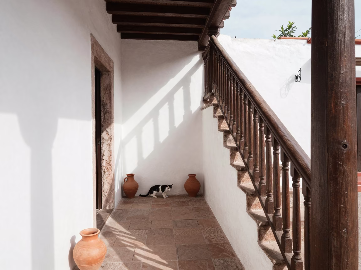 Cat in Merida at Late Morning Light in in Merida, Mexico