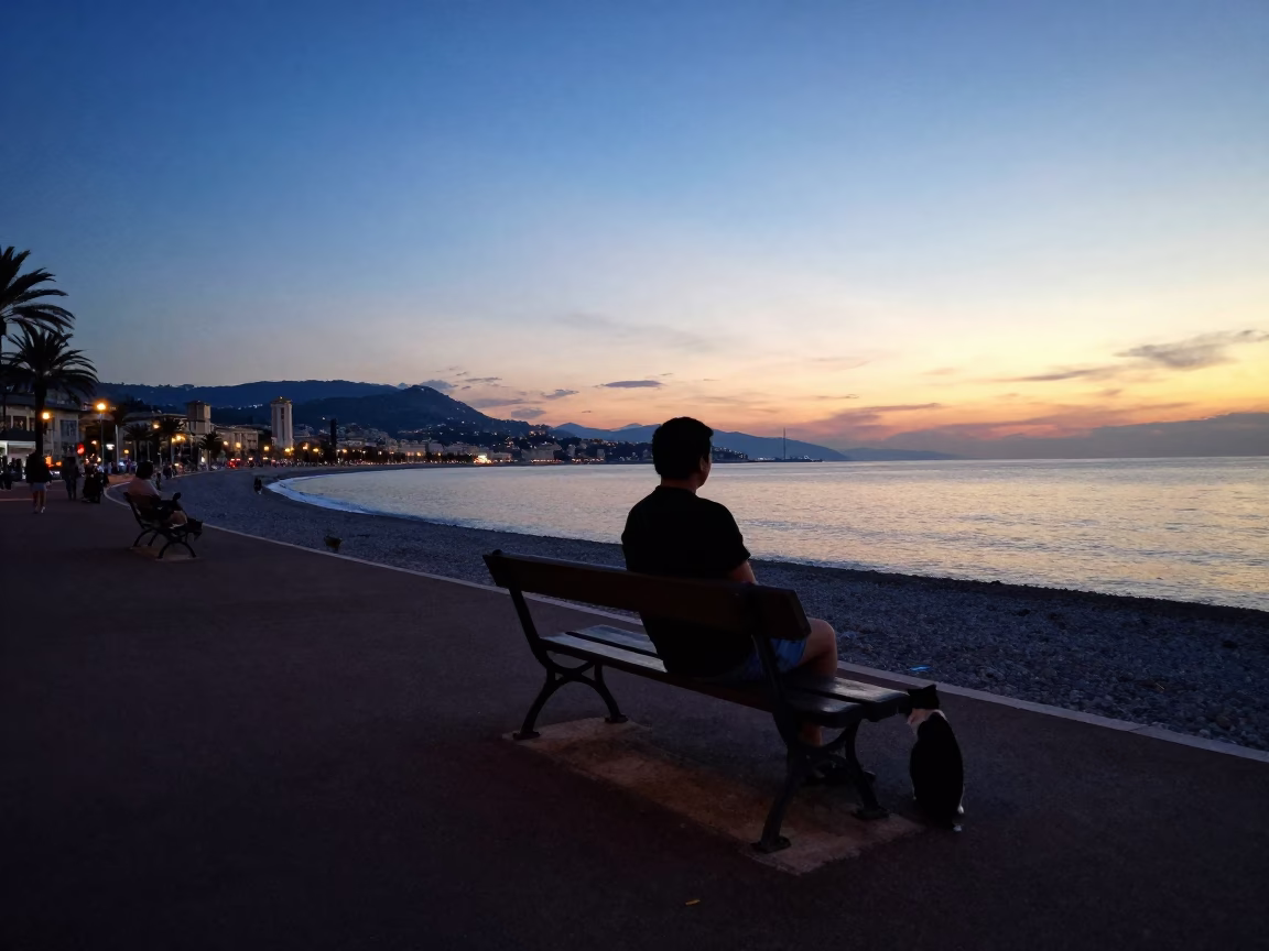 Cat in Nice at Evening Light in in Nice, France