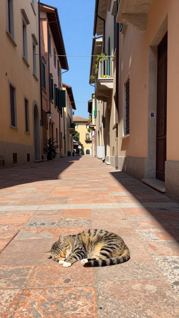 Cat Sleeping in Milan in in Milan, Italy