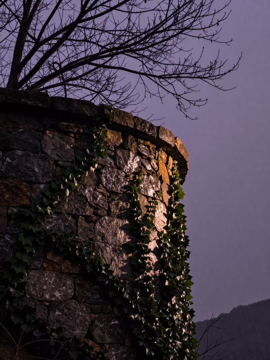 Caucasus Cistern Edge Silhouette in Winter Twilight in beside ivy-draped masonry in the Caucasus