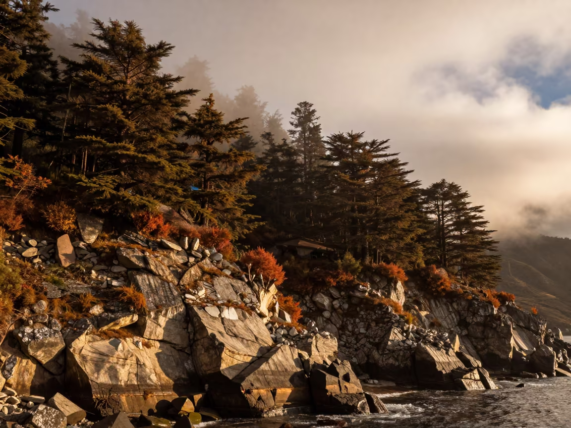 Cedar Forest Misty Mountain Slope La Paz in along a wave-cut shoreline near La Paz