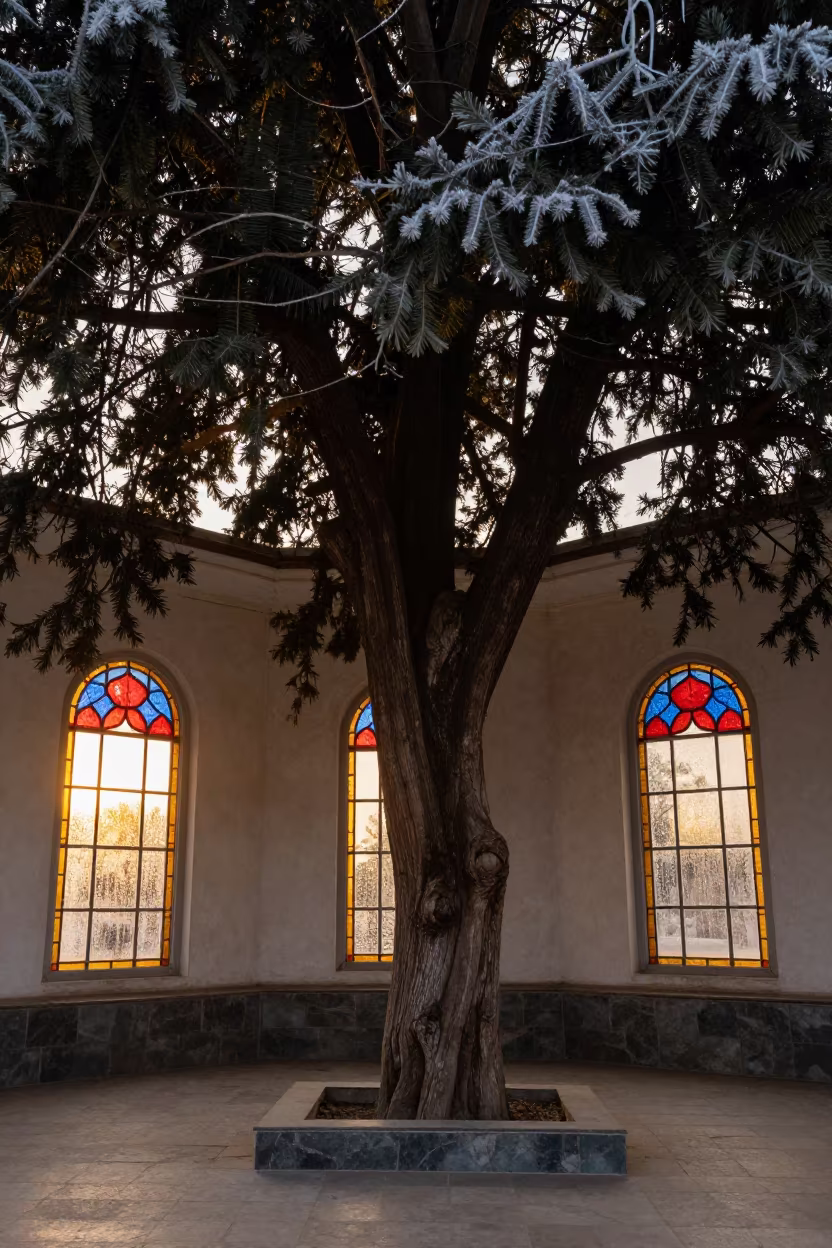 Cedar of Lebanon in Sahiwal Chapel in in a chapel lit by stained glass in Sahiwal