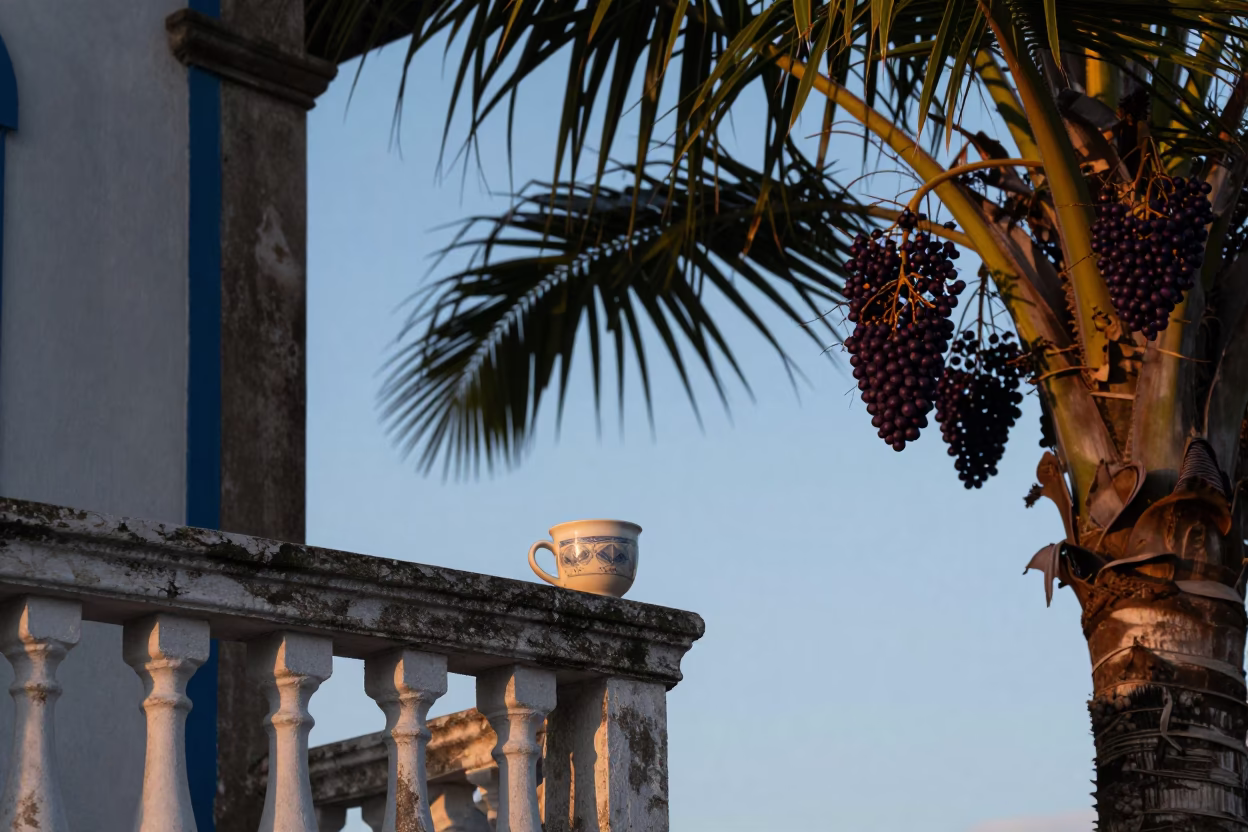 Ceramic Cup in Salvador at Nautical Dawn Light in in Salvador, Brazil