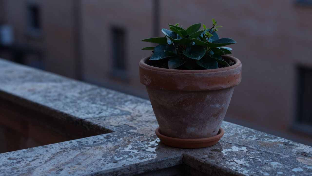 Ceramic Flowerpot in Bologna in in Bologna, Italy