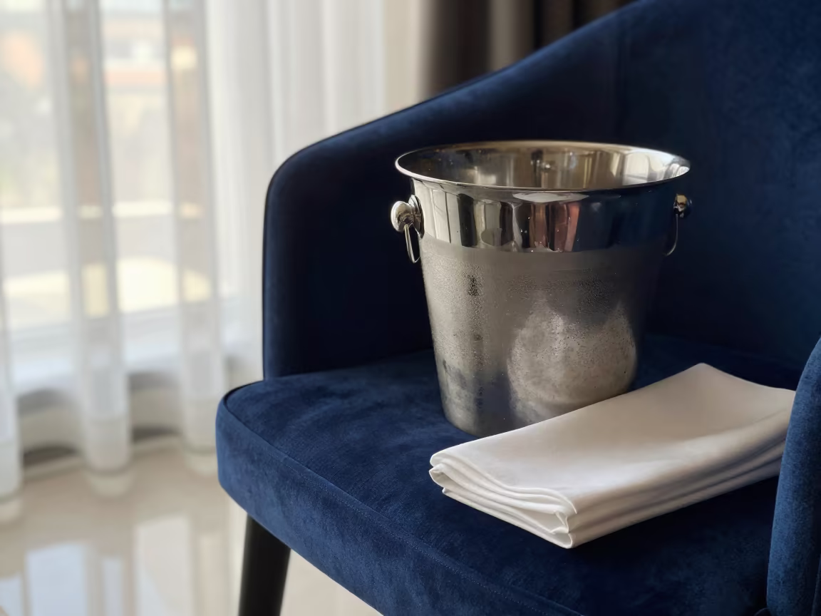 Champagne Bucket Velvet Chair Skopje Late Afternoon in on a velvet chair in Skopje