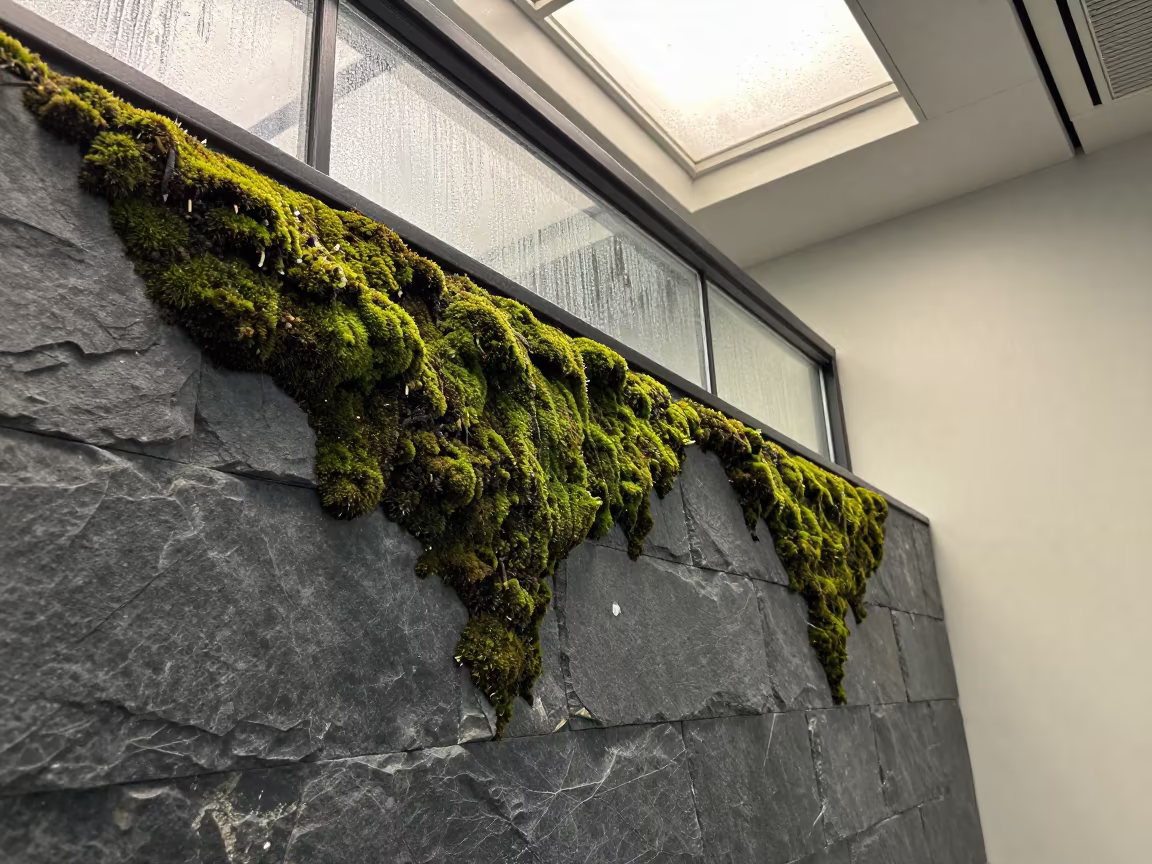 Chartreuse Moss Clusters on Slate Grey Wall in inside a restored train terminal in Beijing
