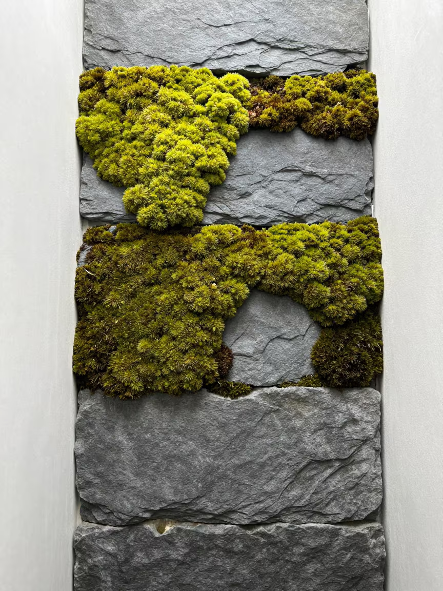 Chartreuse Moss on Slate Grey Wall in inside a skylit passageway near Liverpool