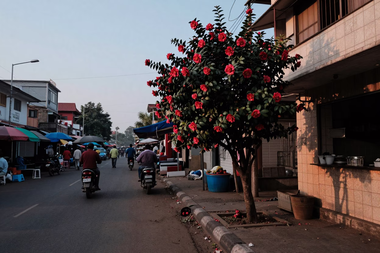 Chennai India Dawn Street Scene with Camellia and Local Market Activity in in Chennai, India
