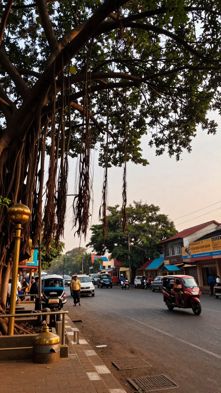 Chennai India Golden Hour Street Scene with Banyan Tree and Brass Details in in Chennai, India