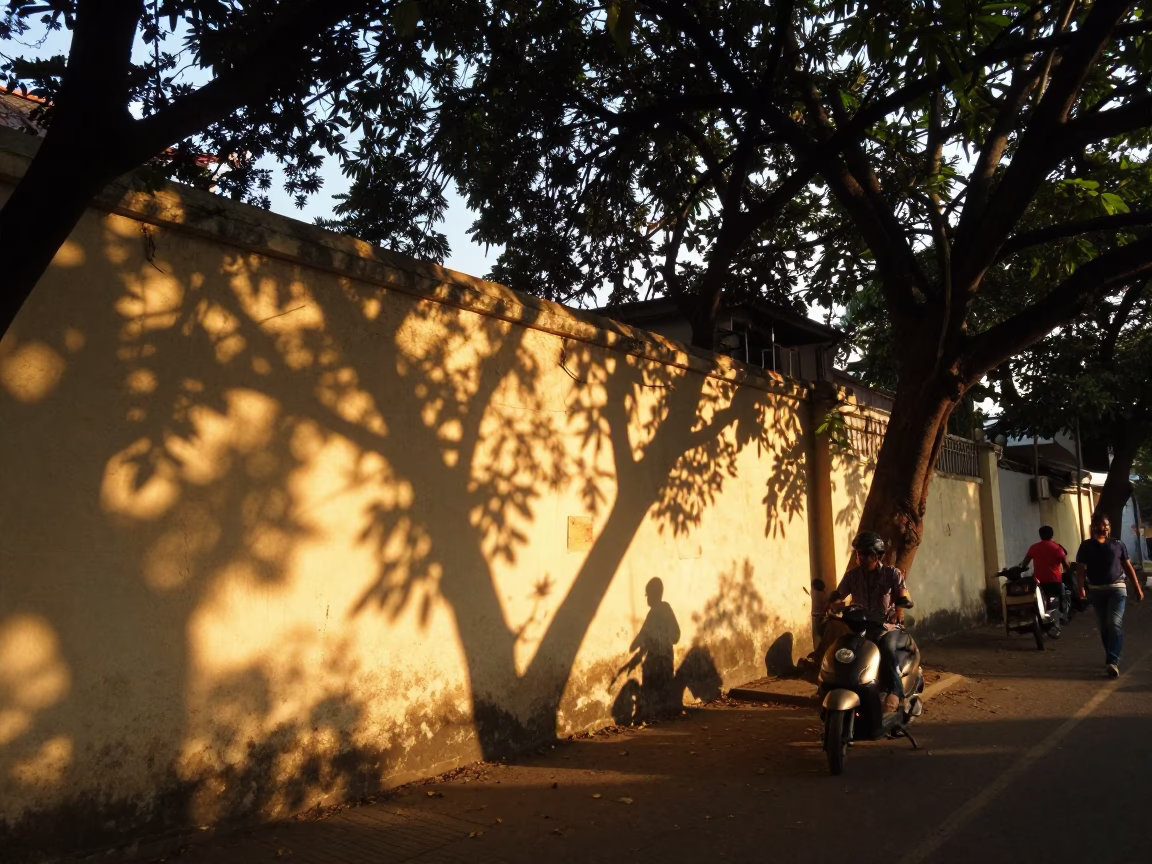 Chennai India Golden Hour Street Scene with Leaf Shadows on Wall in in Chennai, India