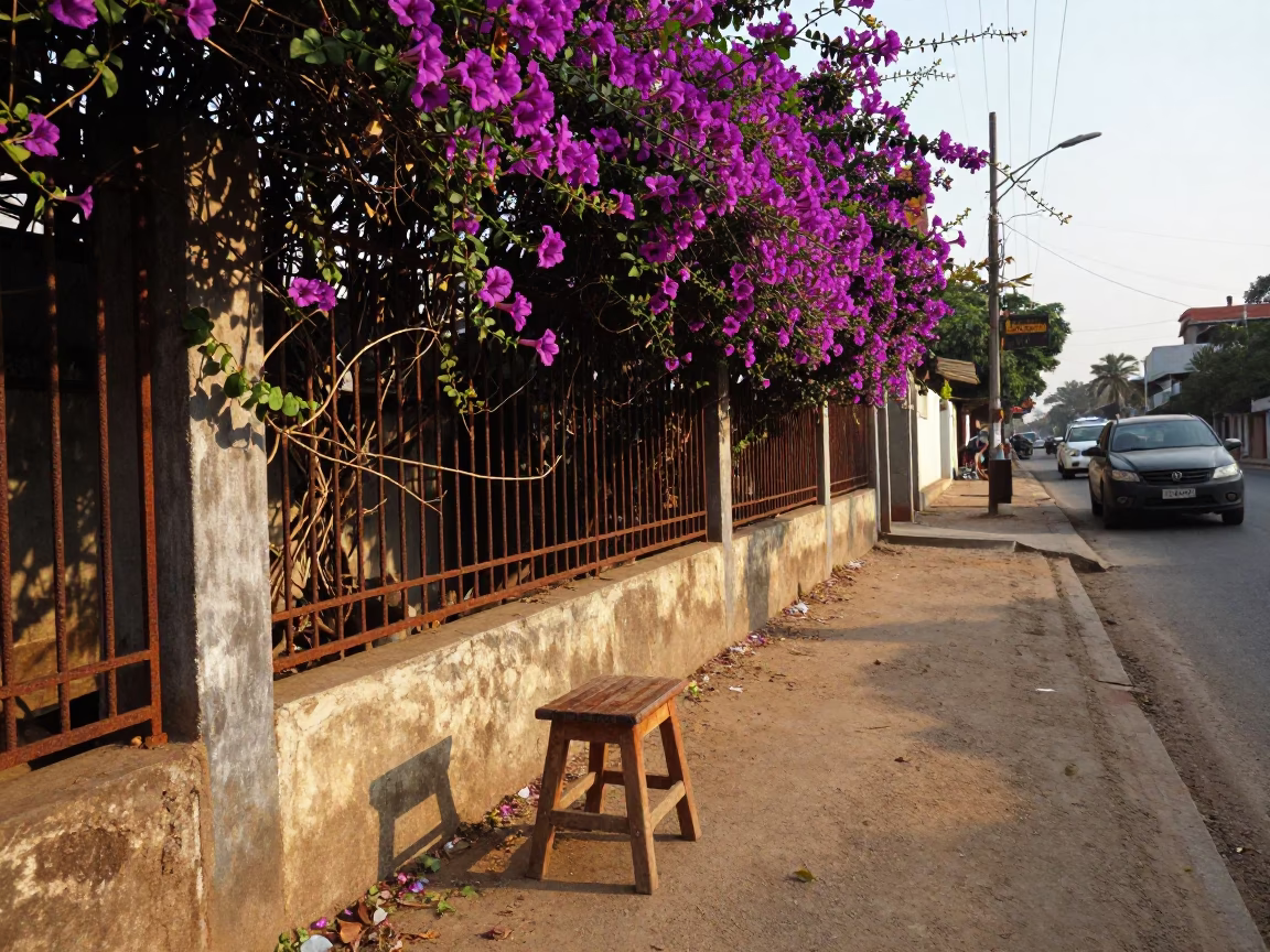 Chennai India Late Afternoon Street Scene with Stool and Morning Glory Fence in in Chennai, India