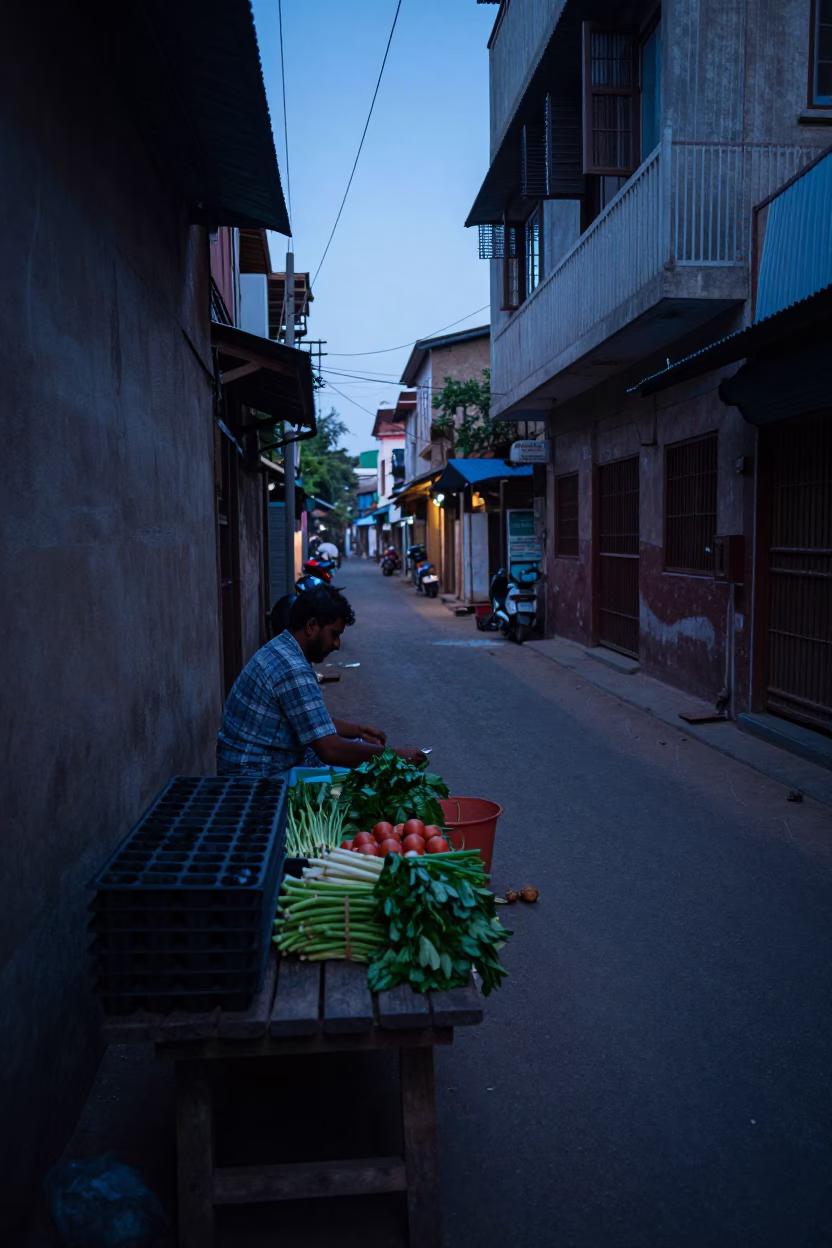 Chennai India Street Scene Before Sunrise with Seed Trays and Radishes in in Chennai, India