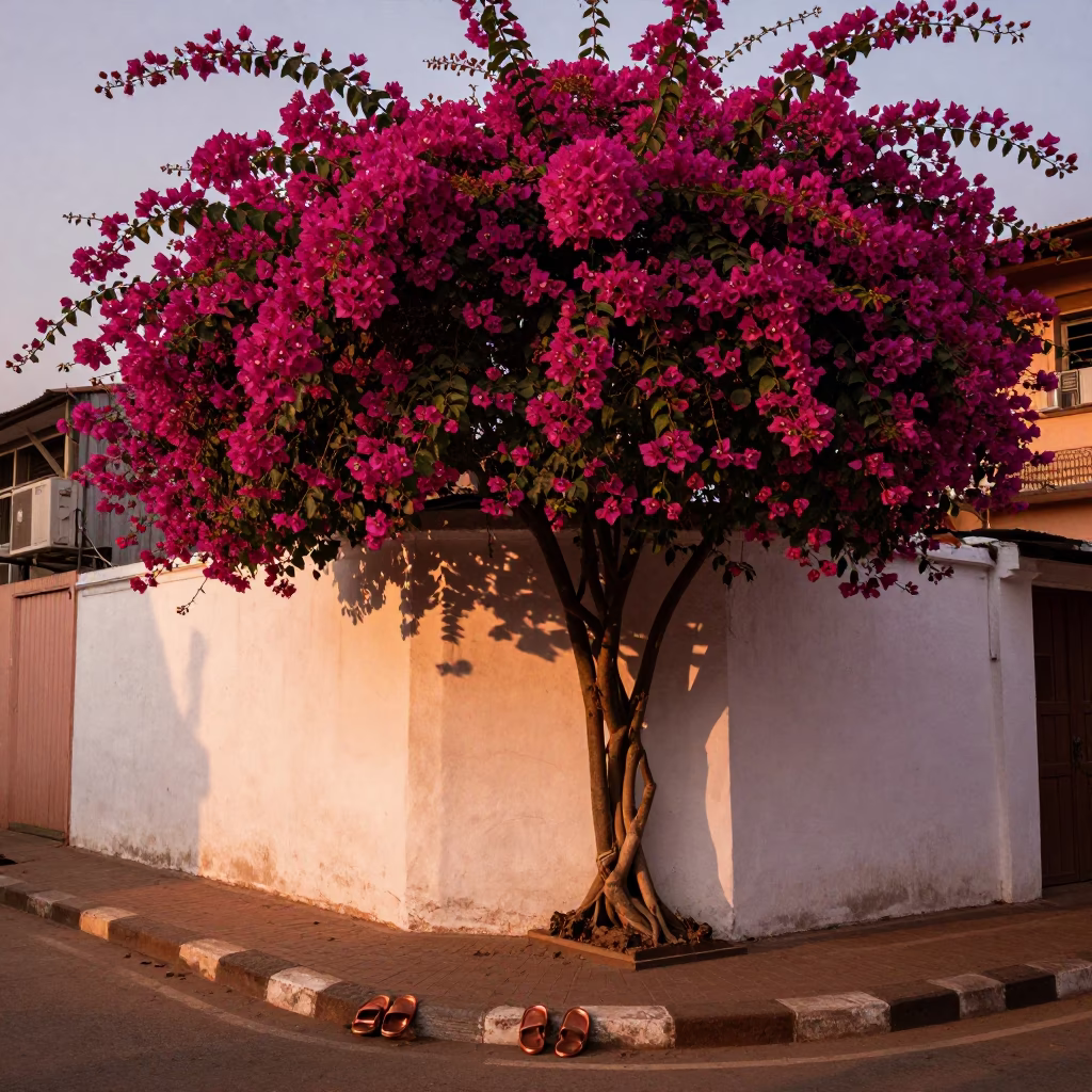 Chennai India street scene with bougainvillea and slippers in copper dusk light in in Chennai, India