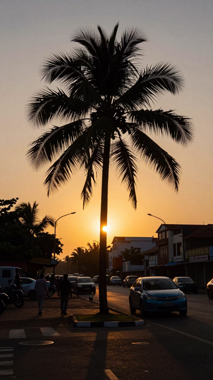 Chennai India sunset street scene with palm tree silhouette and narrow gauge train in in Chennai, India