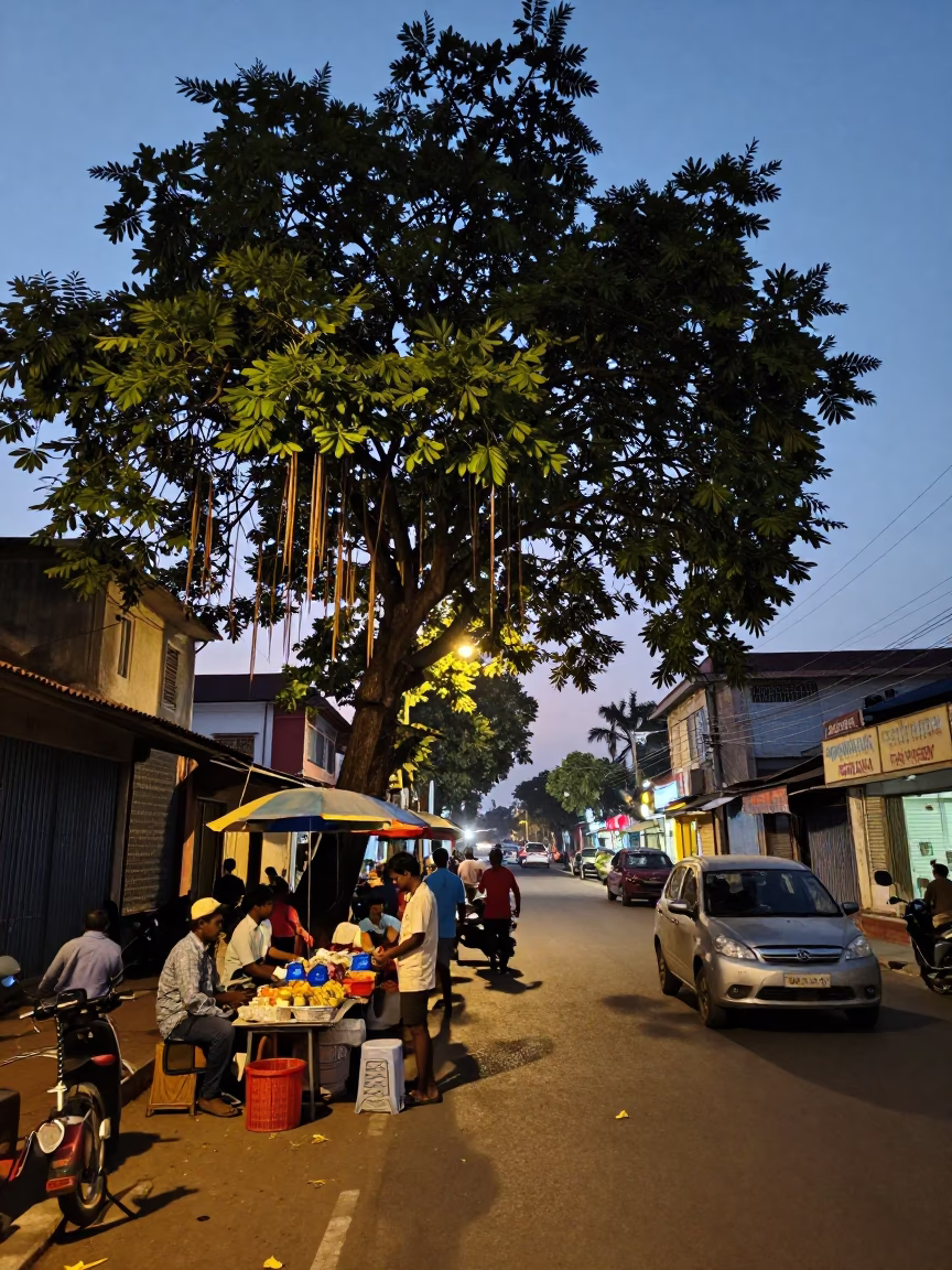 Chennai India Twilight Street Scene with Tamarind Tree and Local Market Activity in in Chennai, India