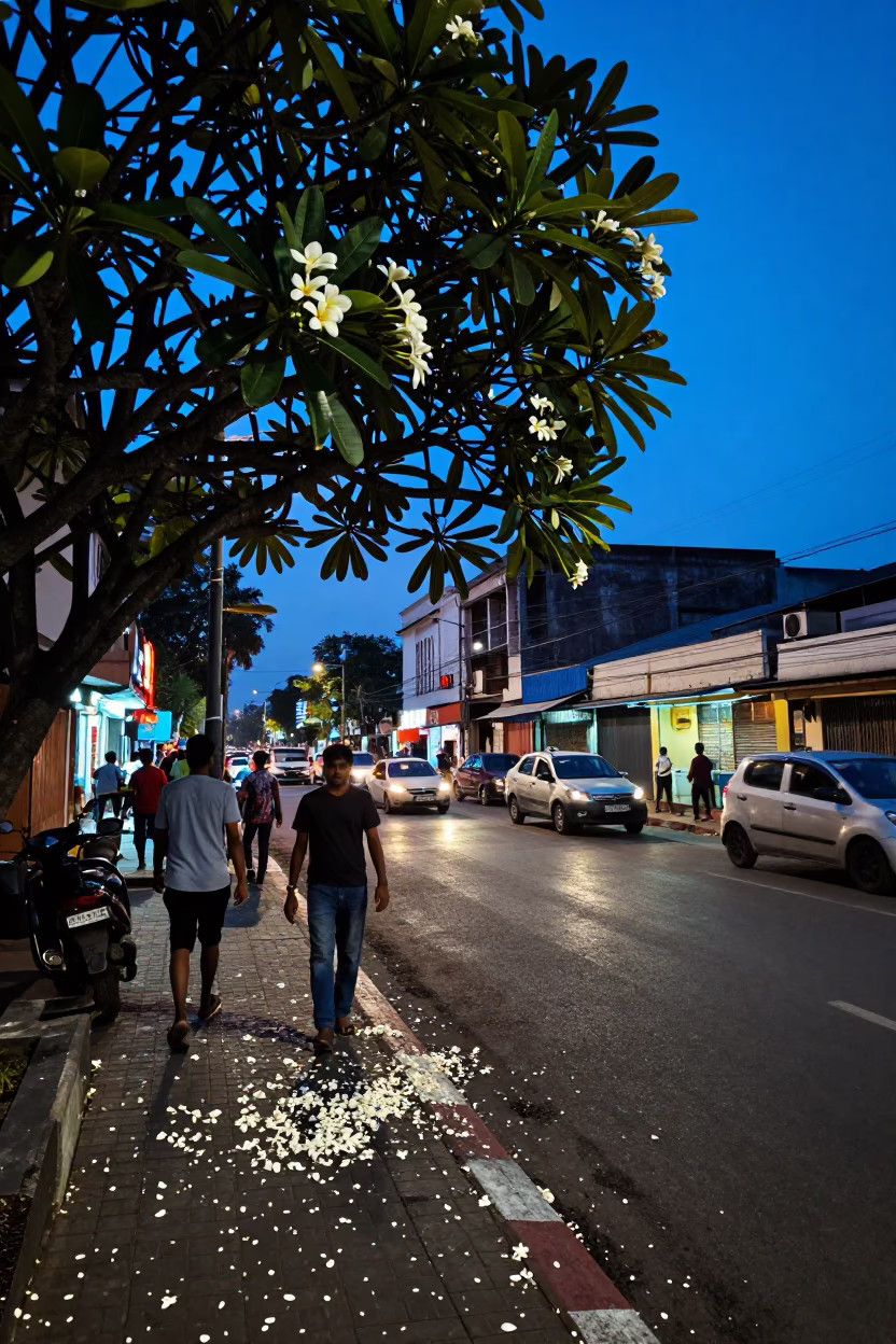 Chennai Street Scene at Indigo Twilight with Plumeria Petals and Local Commerce in in Chennai, India