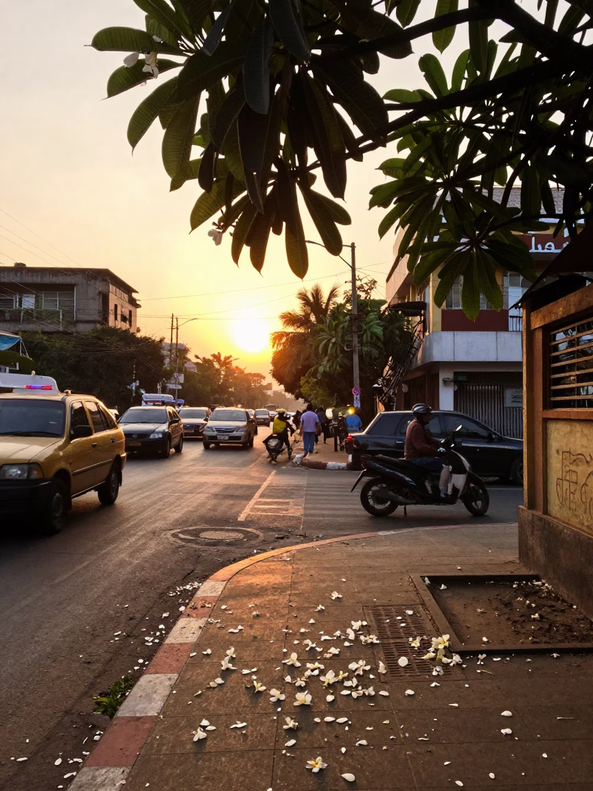 Chennai Street Sunset Plumeria Petals Falling on Busy Sidewalk Traffic in in Chennai, India