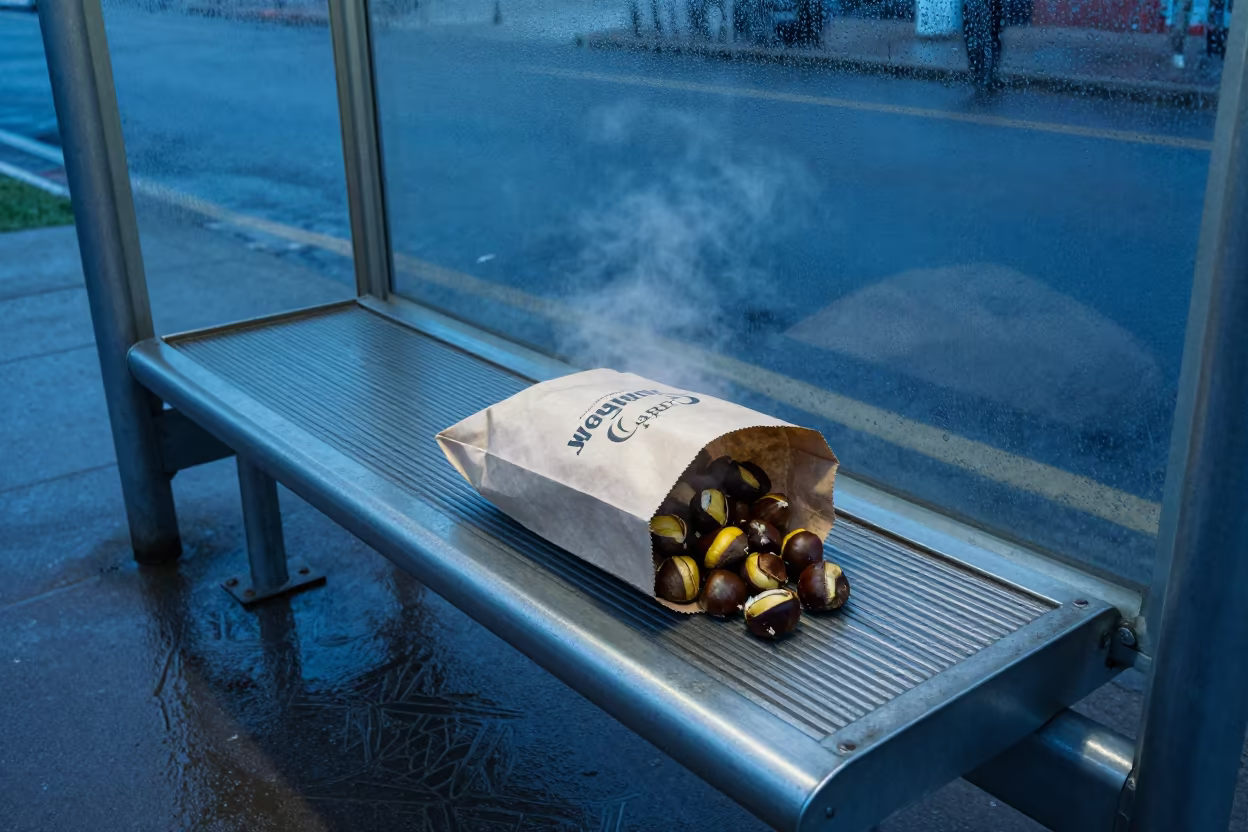 Chestnut Bag Bus Shelter Cabimas Evening in beside a steamed-up bus shelter in Cabimas