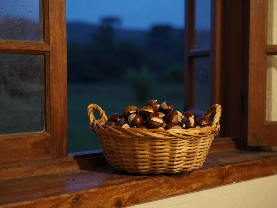 Chestnuts in Basket on Puerto Cabello Window Seat in on a window seat in Puerto Cabello
