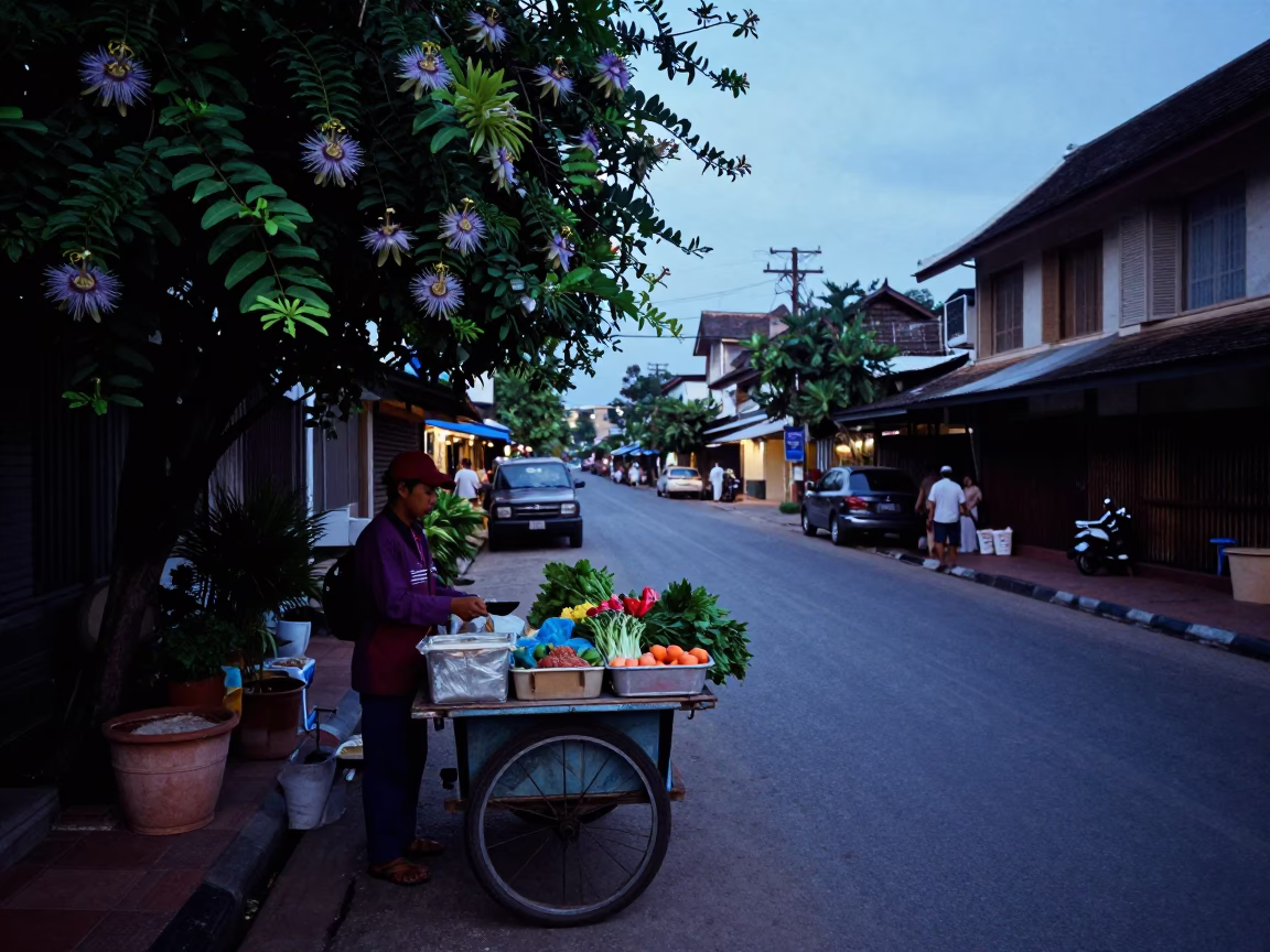 Chiang Mai Thailand Evening Street Scene with Basil and Passion Flower in in Chiang Mai, Thailand