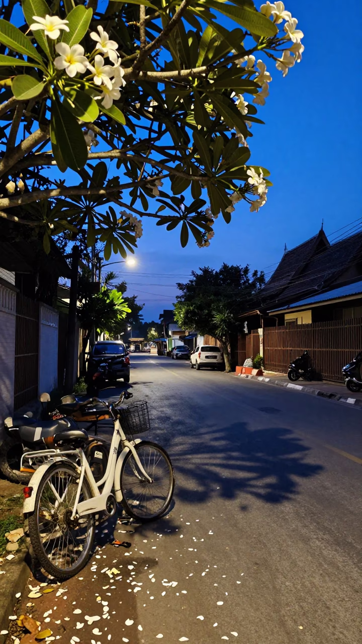 Chiang Mai Thailand indigo twilight street scene with plumeria petals and bicycle in in Chiang Mai, Thailand