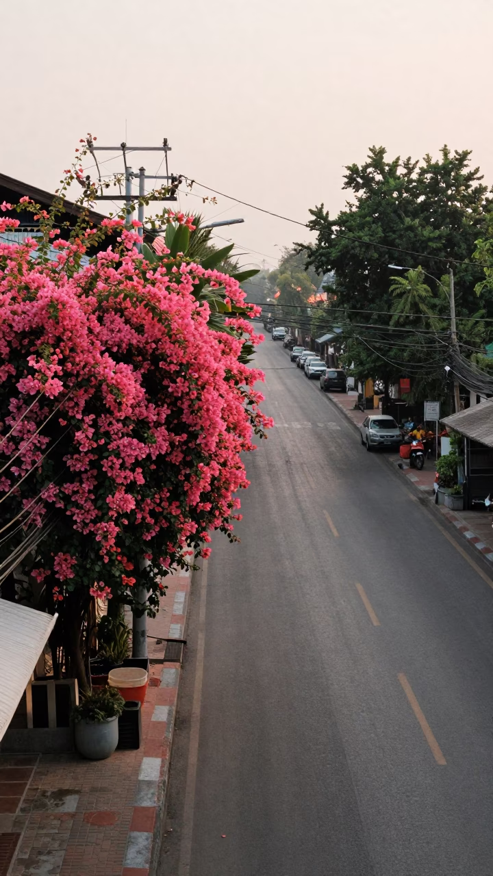 Chiang Mai Thailand Late Morning Street Scene with Bougainvillea and Aerial Cables in in Chiang Mai, Thailand