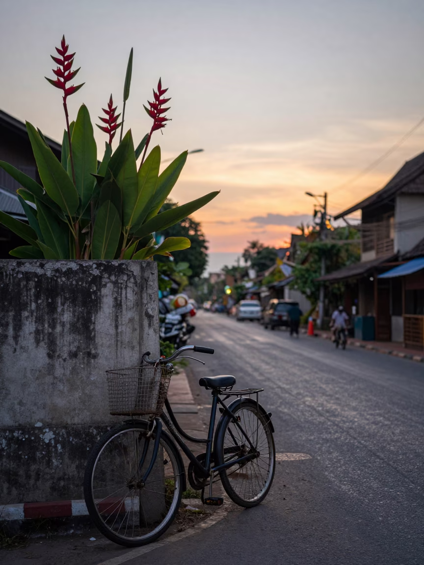 Chiang Mai Thailand Nautical Dawn Street Scene with Heliconia and Bicycle in in Chiang Mai, Thailand