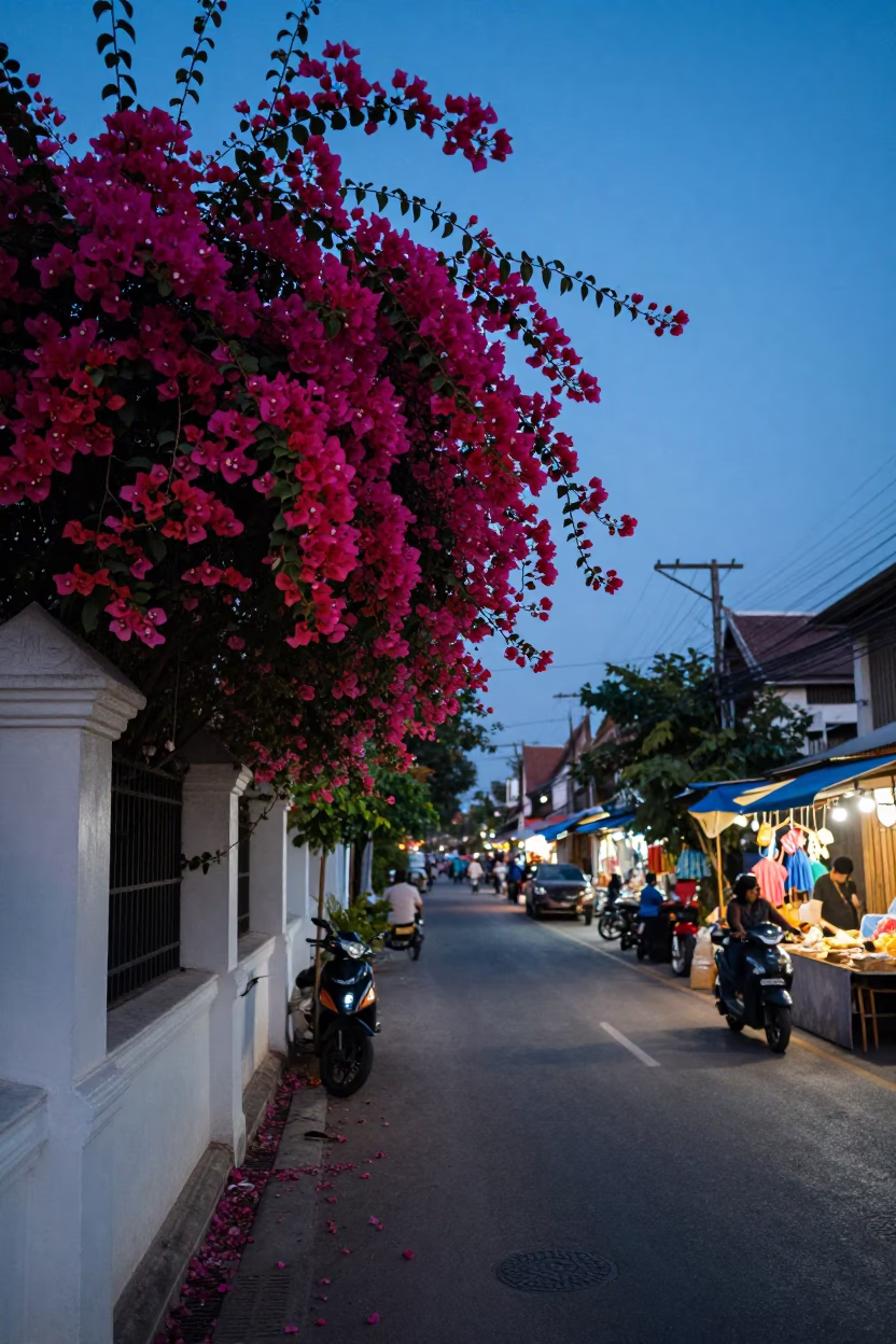 Chiang Mai Thailand Pre-Dawn Street Scene with Bougainvillea and Local Market Activity in in Chiang Mai, Thailand