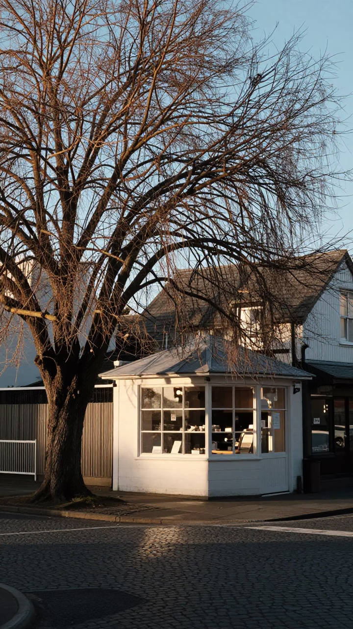 Christchurch Morning Light at As First Light Reaches The Scene in in Christchurch, New Zealand