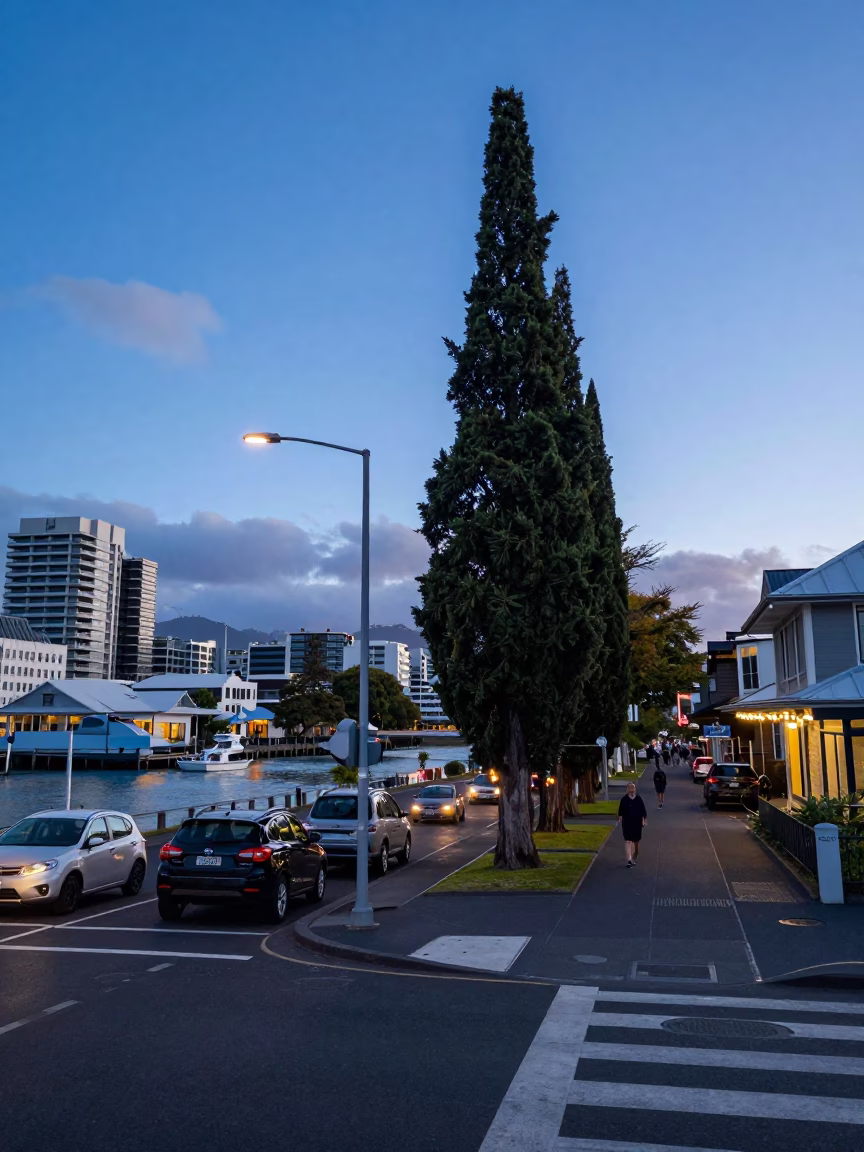 Christchurch New Zealand Nautical Dawn Street Scene with Cypress Trees and Mossy Stone Wall in in Christchurch, New Zealand