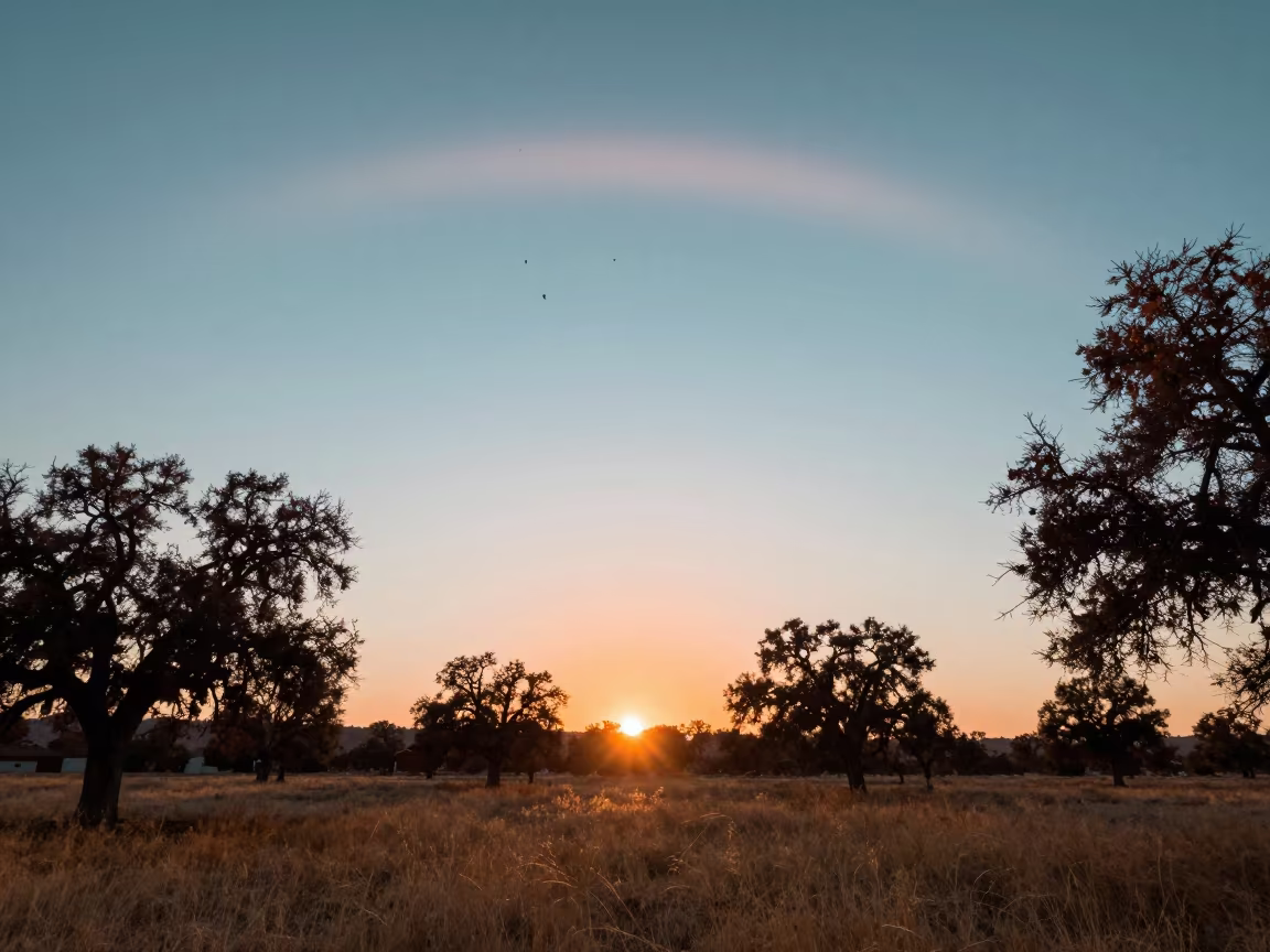 Circumhorizontal Arc Over California Sunset Sky in in California