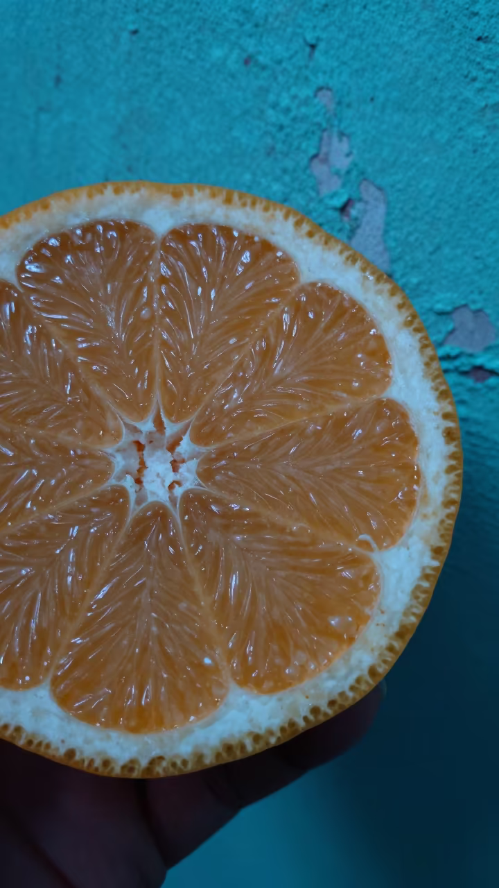 Citrus Cross Section Near Turquoise Wall in against weathered turquoise paint near La Popa, Cartagena