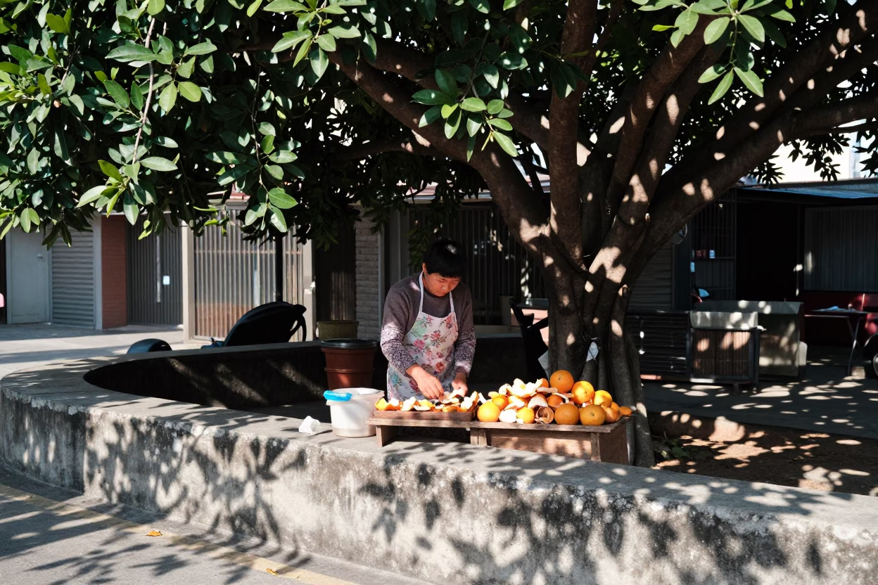 Citrus Peels in Kaohsiung in in Kaohsiung, Taiwan