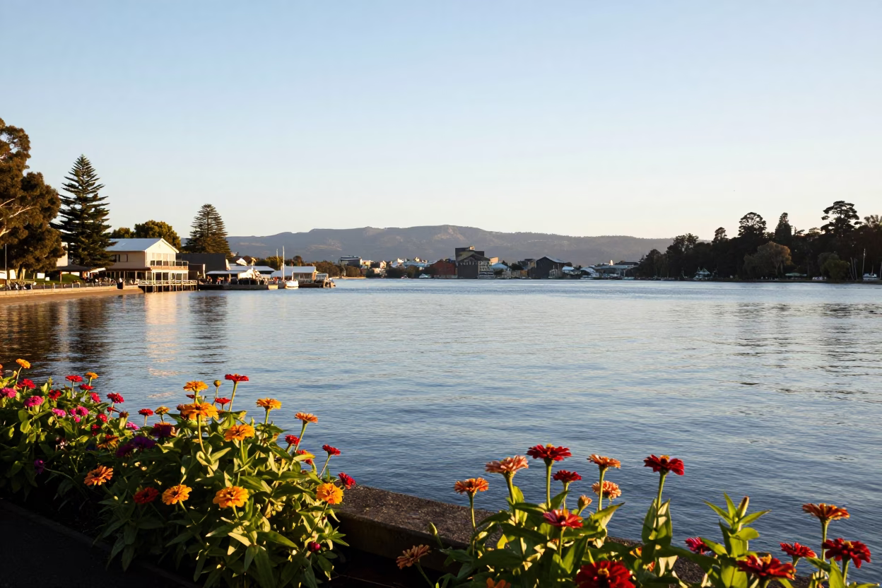 Clear late-afternoon light illuminates Hobart Tasmania waterfront with zinnias and garden cloche in in Hobart, Tasmania, Australia
