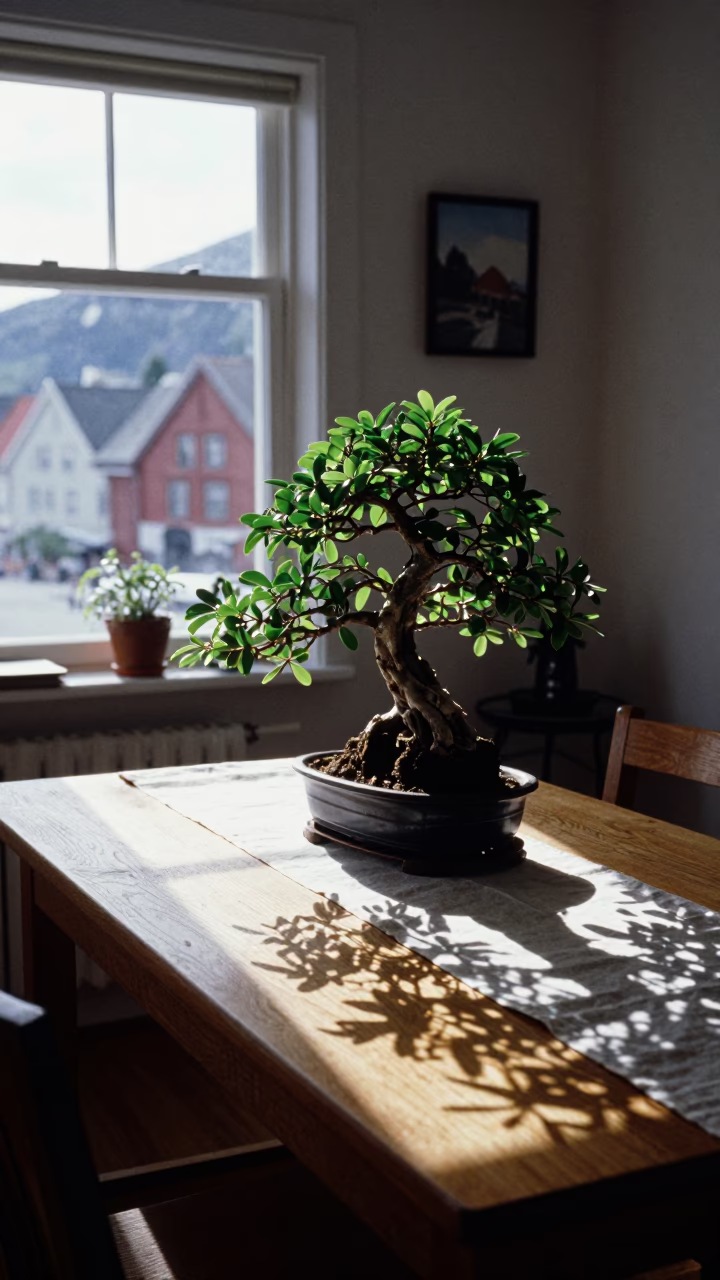 Clear Late-afternoon Light on Afternoon Light in Bergen in in Bergen, Norway