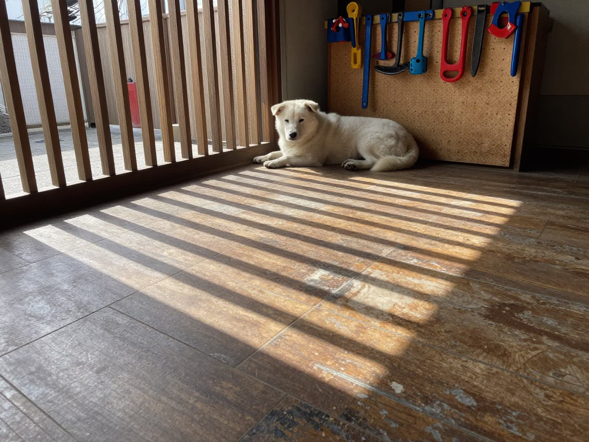 Clear Late-afternoon Light on Floor Tiles in Tokyo in in Tokyo, Japan