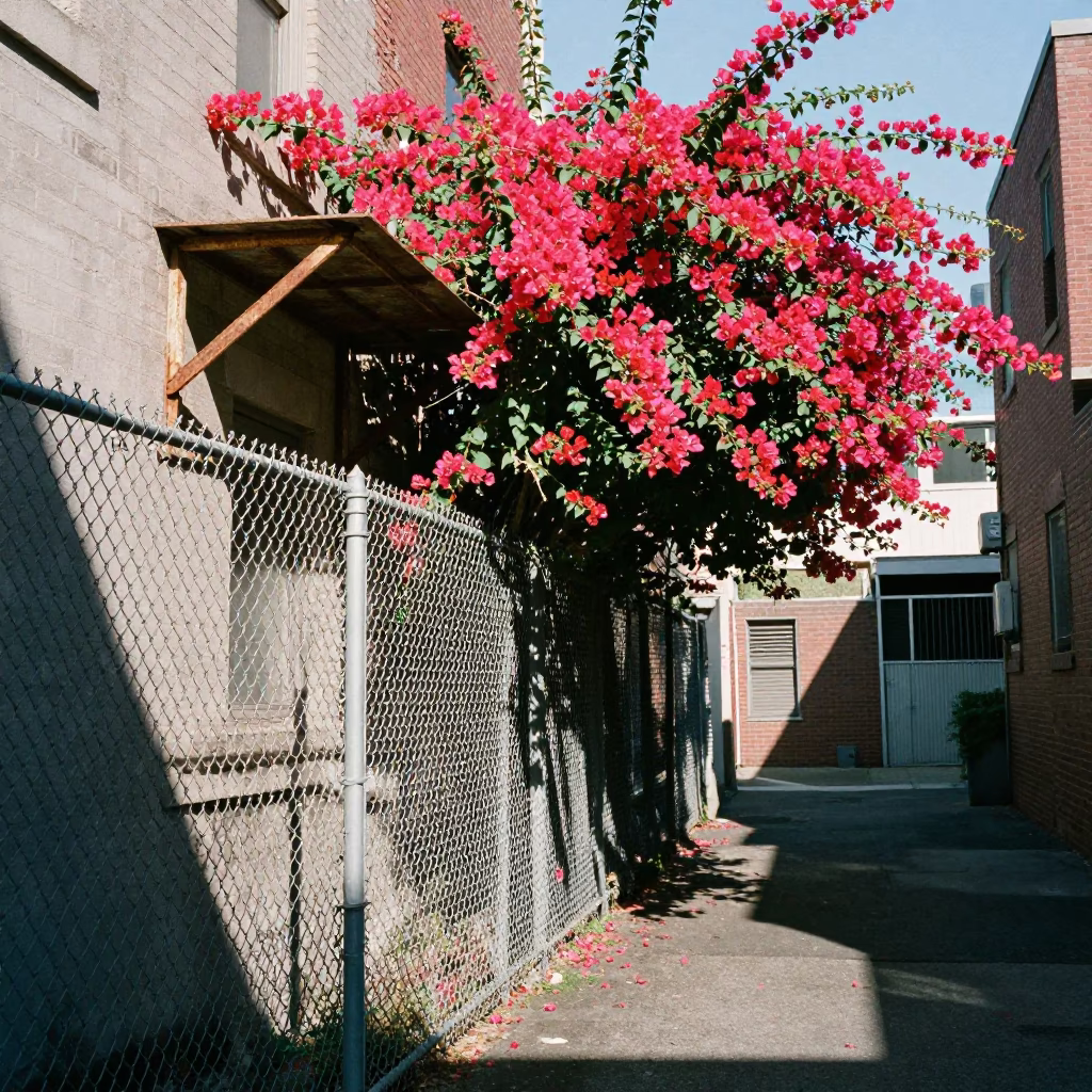 Cluttered Alleyway in Seattle in in Seattle, Washington, United States
