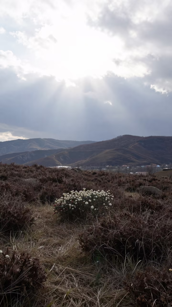 Coastal Heath Under Overcast Skies Near Sarajevo in from a ridge above layered foothills near Sarajevo