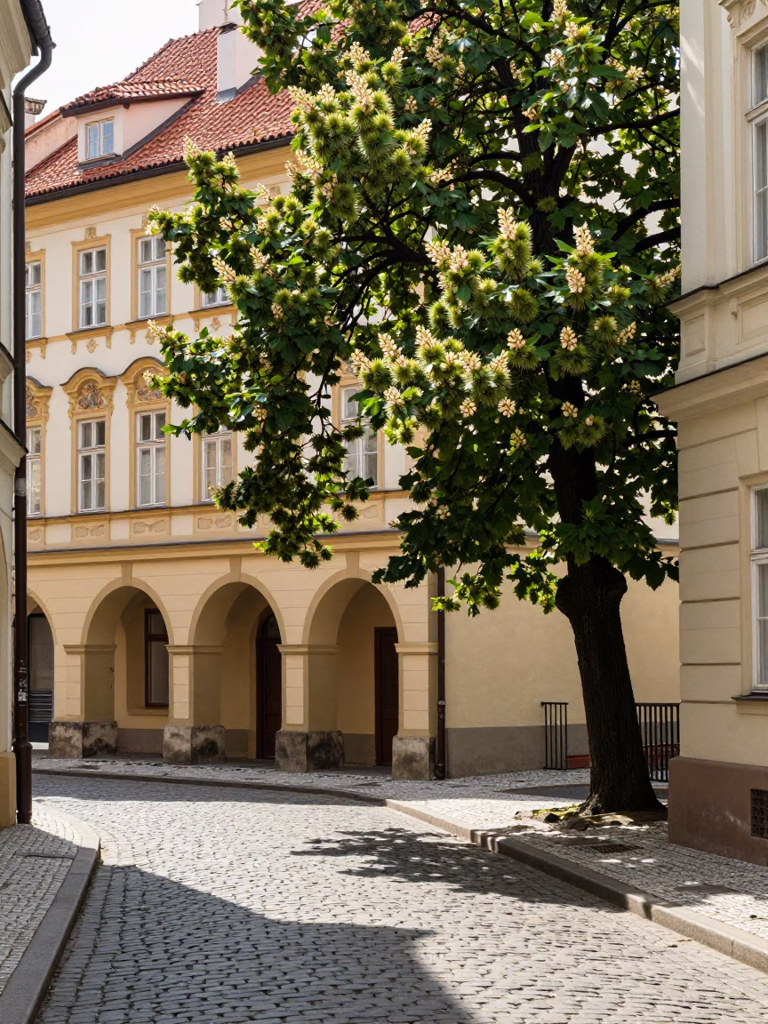Cobblestone Street in Prague at Bright Midmorning Light in in Prague, Czech Republic