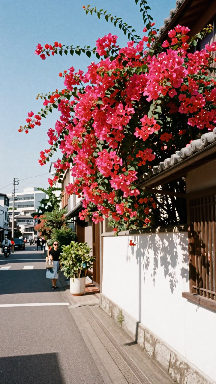 Colorful 1960s Sapporo Street Scene with Bougainvillea and Traditional Architecture in in Sapporo, Japan