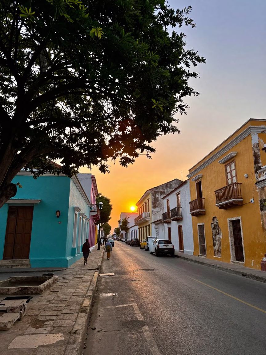Colorful Cartagena Colombia Sunset Street Scene with Fig Tree and Local Life in in Cartagena, Colombia