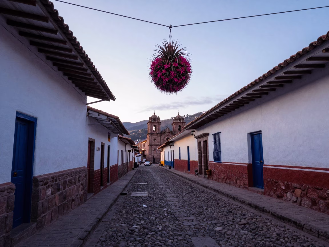 Colorful Cusco Street Scene Before Sunrise with Hanging Air Plant and Condensation in in Cusco, Peru