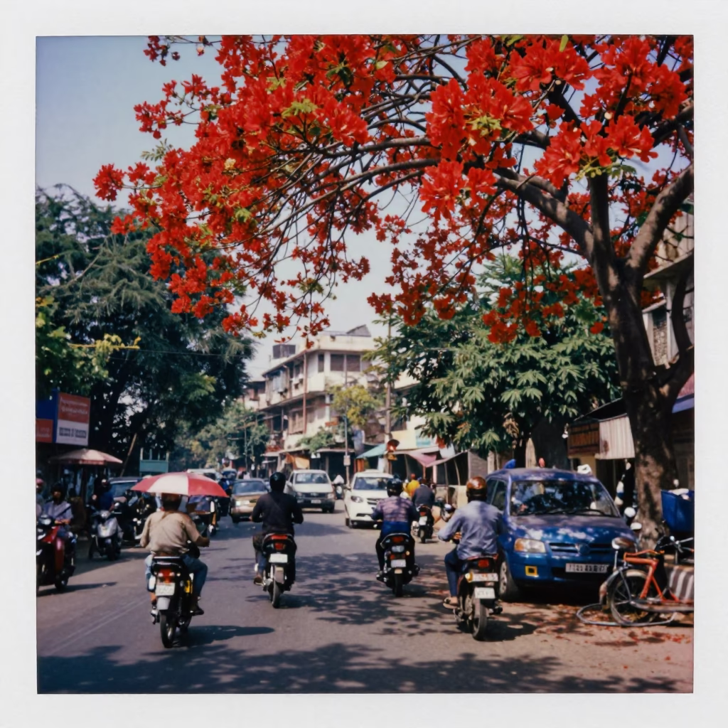 Colorful Delhi Street Scene with Flame Tree Bloom and Scooter at Midday in in Delhi, India