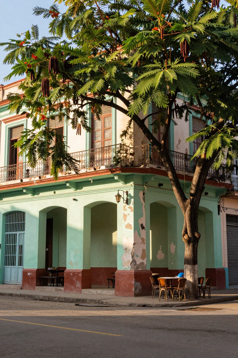 Colorful Havana Cuba Street Scene Early Afternoon with Tamarind Tree and Local Life in in Havana, Cuba