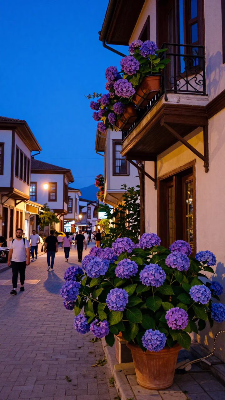 Colorful Izmir Evening Street Scene with Hydrangeas and Local Market Activity in in Izmir, Turkey