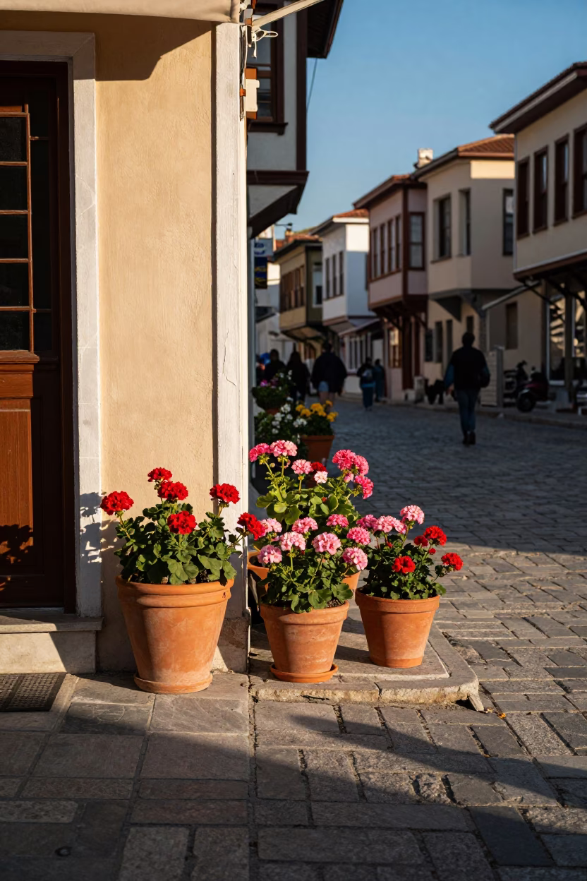 Colorful Izmir Turkey Late Afternoon Street Scene with Potted Geraniums and Blue Porcelain in in Izmir, Turkey