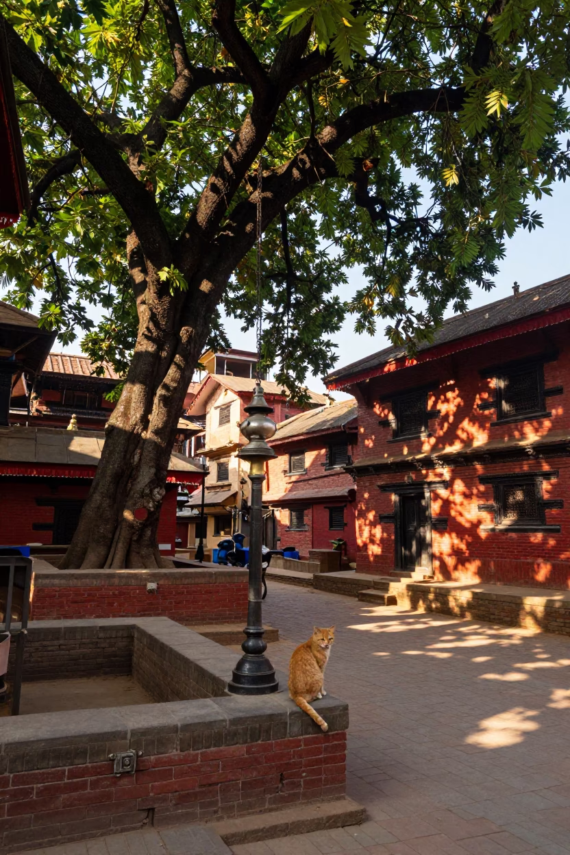 Colorful Kathmandu Street Scene with Cat and Oil Lamp in Early Afternoon in in Kathmandu, Nepal