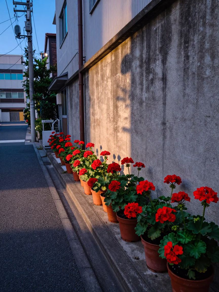 Colorful Tokyo Street Scene Early Evening with Potted Geraniums and Metal Bucket in in Tokyo, Japan