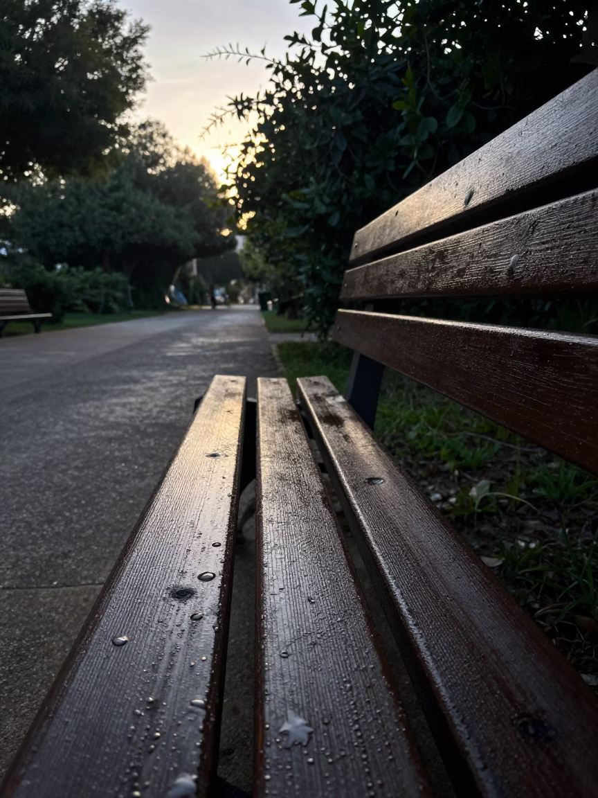 Condensation on Bench Slat Before Sunrise in Valencia Spain in in Valencia, Spain